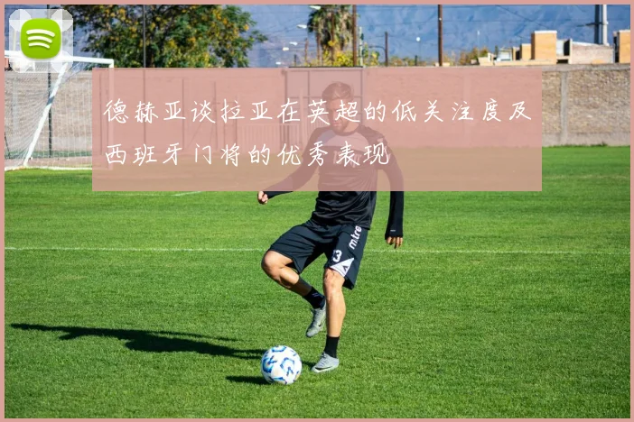 德赫亚谈拉亚在英超的低关注度及西班牙门将的优秀表现